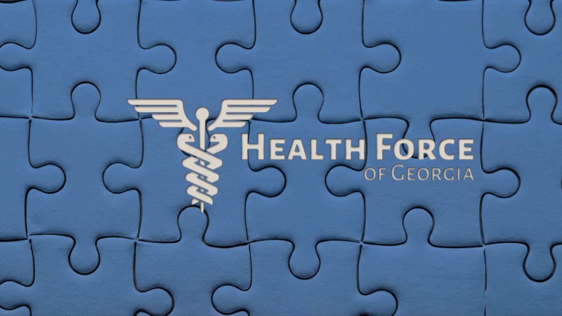 Health Force of Georgia solves the health care puzzle